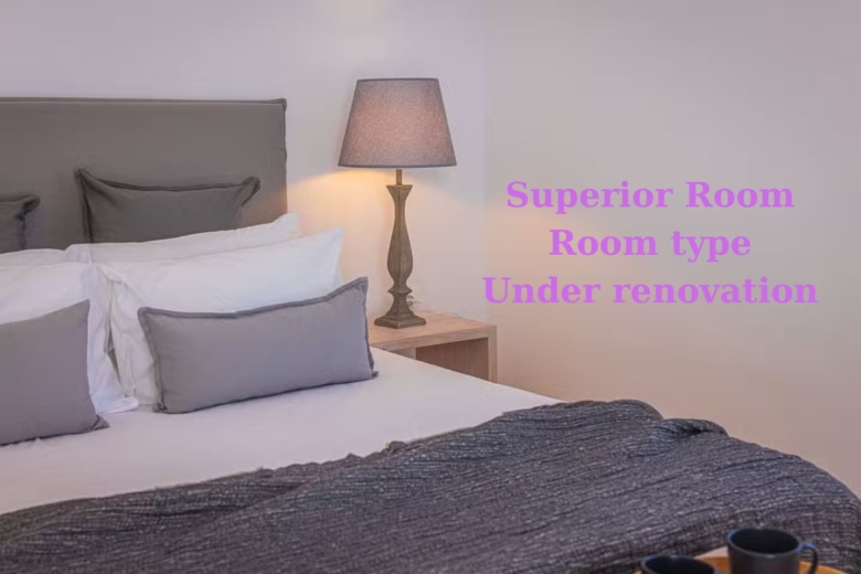 02-Superior Room Room type Under renovation